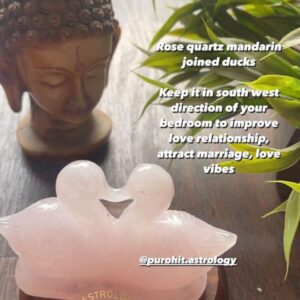 Love Birds- Rose Quartz Mandarin Ducks