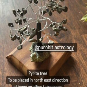 Pyrite Tree For Money & Prosperity