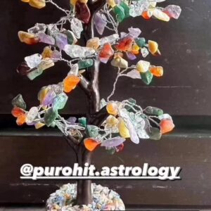 Money And Focus Tree For Concentration & Money