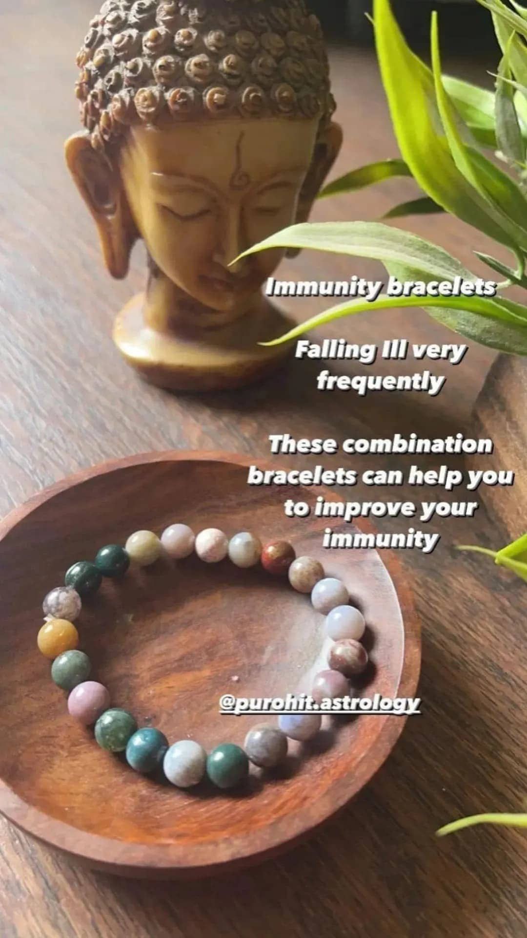 Bloodstone Immunity Bracelet