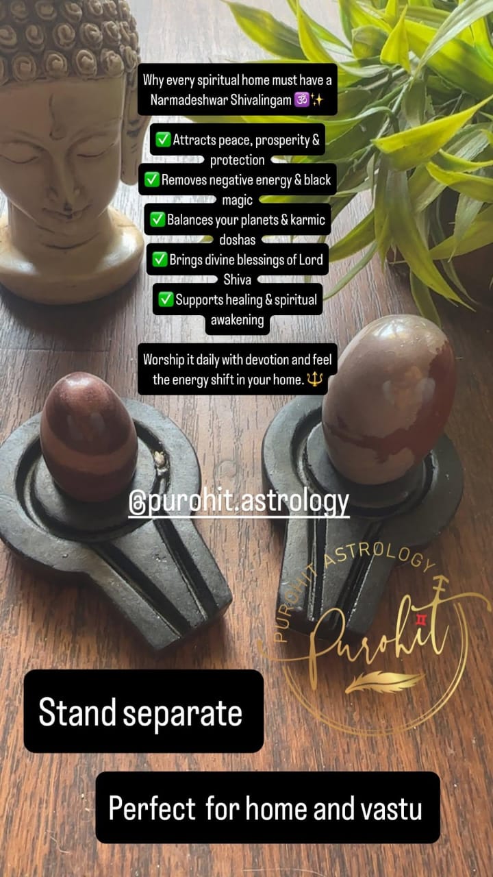 Narmadeshwar Shivling