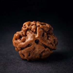 3 MUKHI RUDRAKSH
