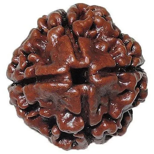4 MUKHI RUDRAKSH